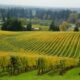 10 very good wineries in Oregon’s Willamette Valley 10 very good wineries in Oregon’s Willamette Valley