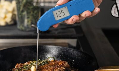 The 5 Finest Meat Thermometers of 2024
