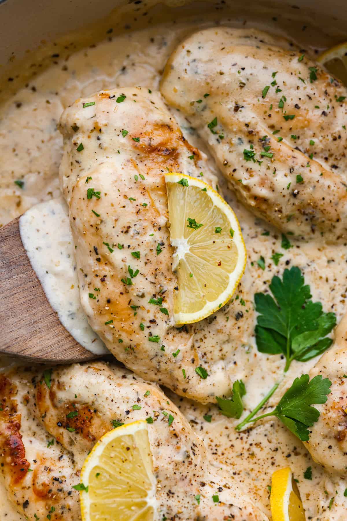 Creamy Lemon Parmesan Rooster Recipe