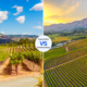 Must you go to Napa or Sonoma?
