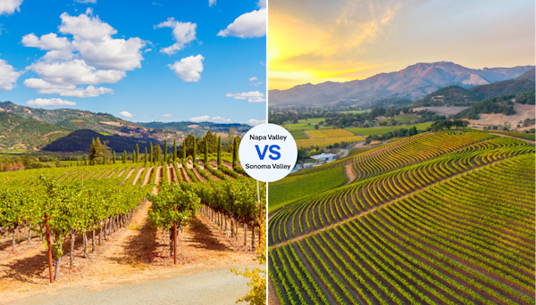 Must you go to Napa or Sonoma?