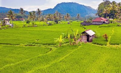 1 Day Ubud Itinerary: Unveiling Bali’s Hidden Gems with Thrilling Adventures