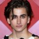 Sebastian Croft desires to star in a queer romcom & is crushing arduous on this male celeb Sebastian Croft desires to star in a queer romcom & is crushing arduous on this male celeb