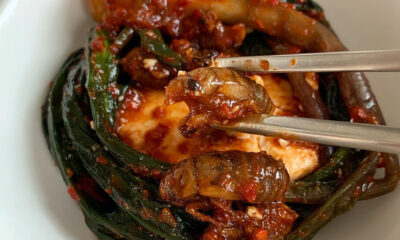 Cicadas Are Right here. Time to Eat.