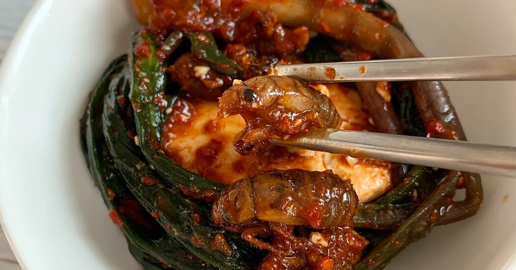 Cicadas Are Right here. Time to Eat.