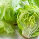 You May Need To Assume Twice About Shopping for Iceberg Lettuce. This is Why