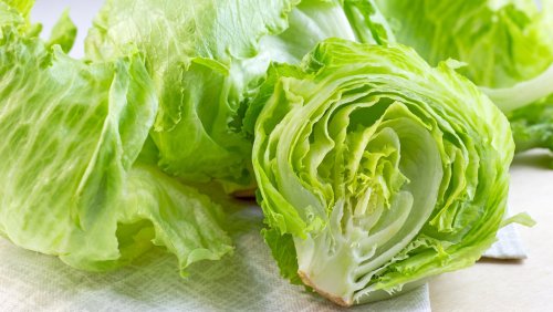 You May Need To Assume Twice About Shopping for Iceberg Lettuce. This is Why