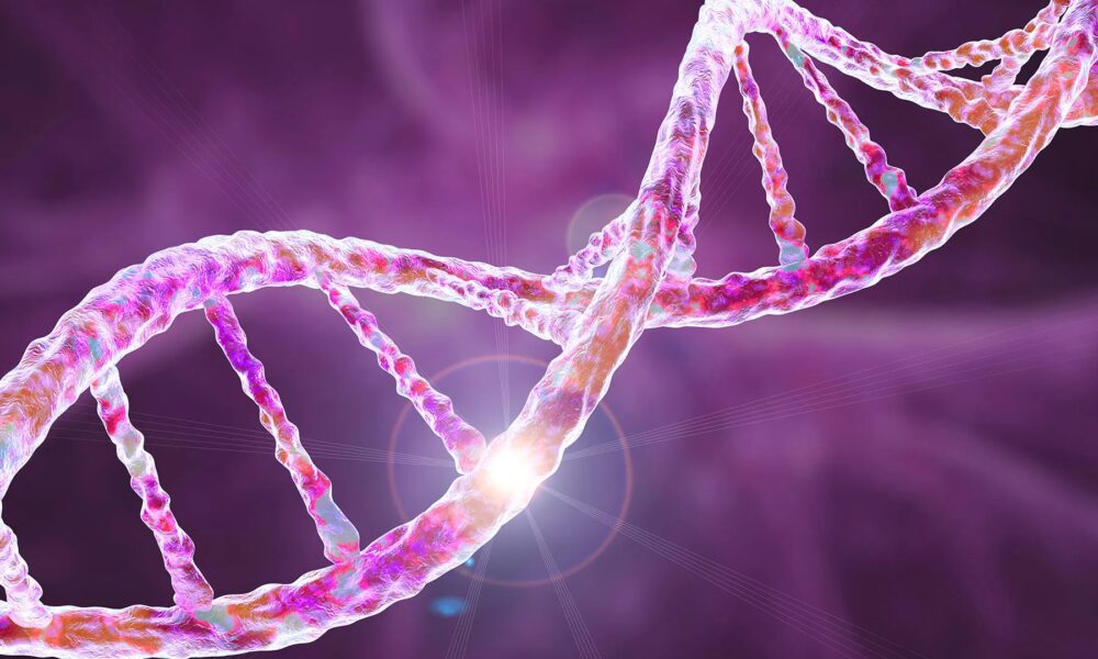 Alzheimer’s Danger and the APOE4 Gene