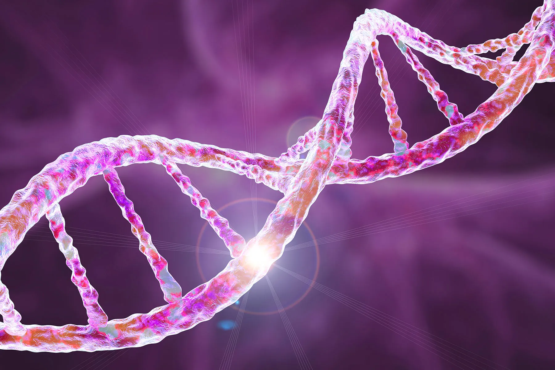 Alzheimer’s Danger and the APOE4 Gene Alzheimer’s Danger and the APOE4 Gene