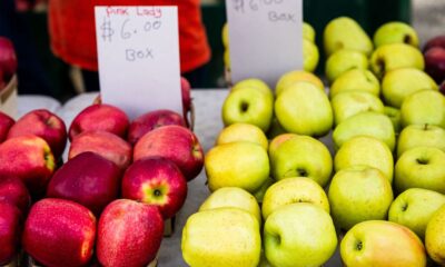Farmers markets within the Pittsburgh space: Your information to 2024’s choices