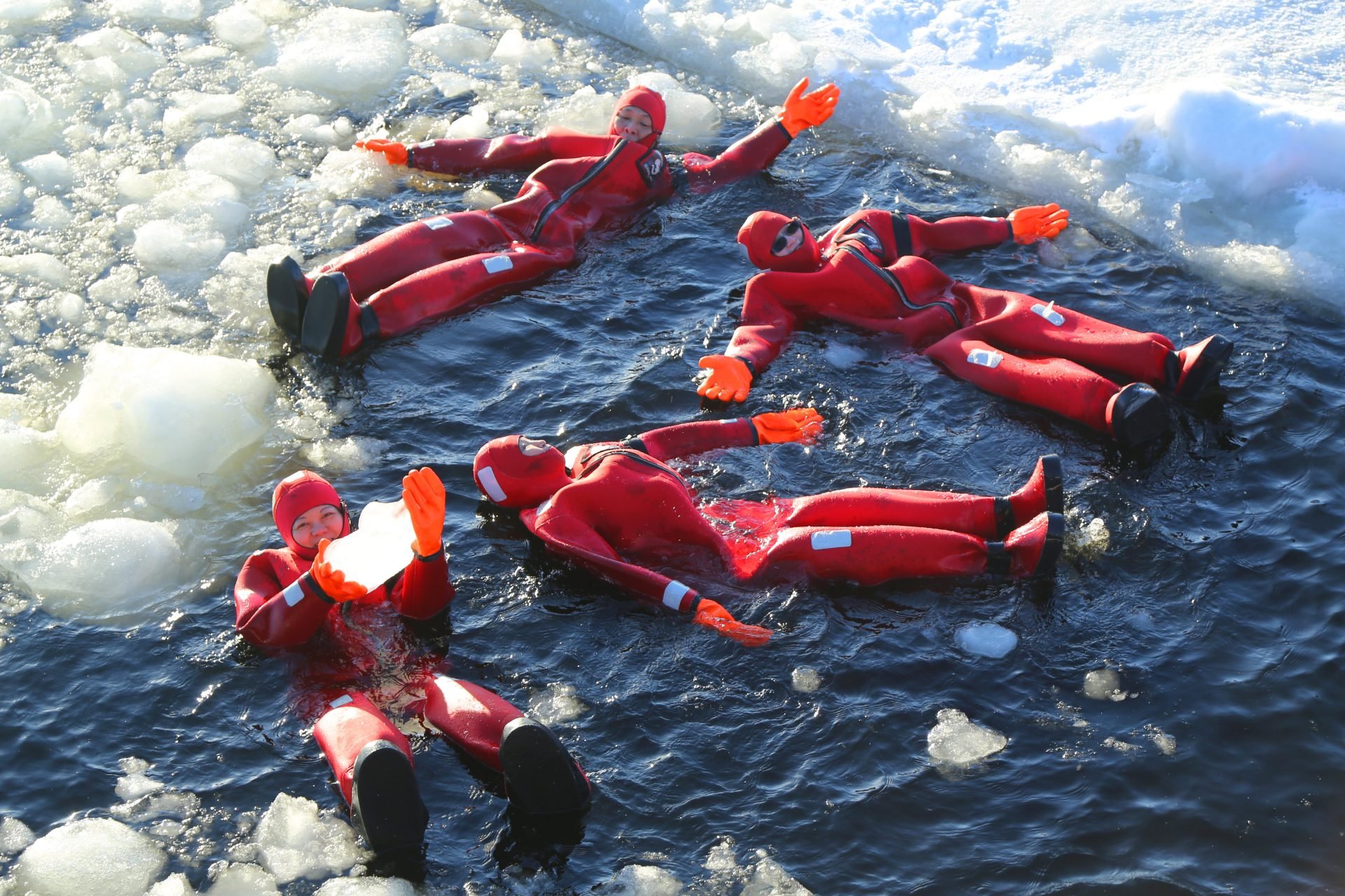 Arctic Ice Floating in Kaldfjord: A Distinctive and Enjoyable Expertise