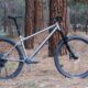 Sanitas Bikes Faucet Root is a Tempting New USA-Made Titanium Hardtail Sanitas Bikes Faucet Root is a Tempting New USA-Made Titanium Hardtail