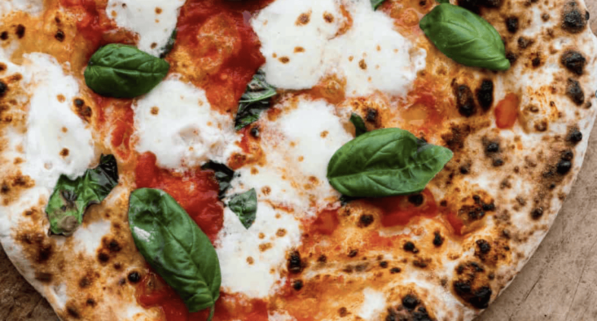 Wooden-Fired Pizza Dough | The Recipe Critic