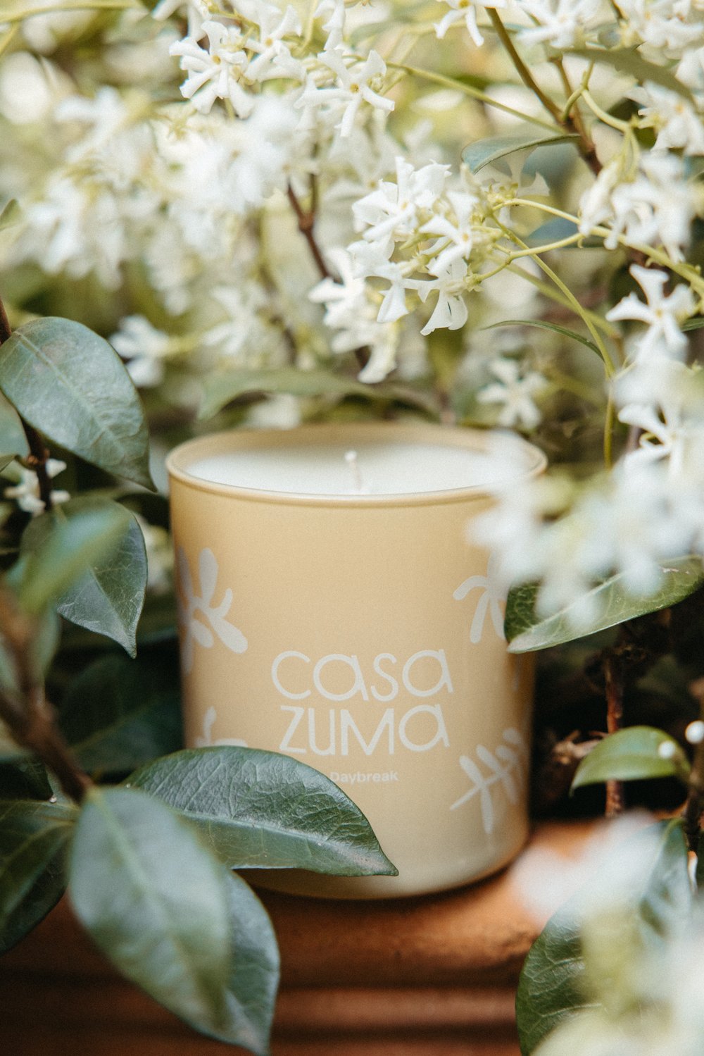 The Greatest New Candle of Summer season 2024: Dawn by Casa Zuma