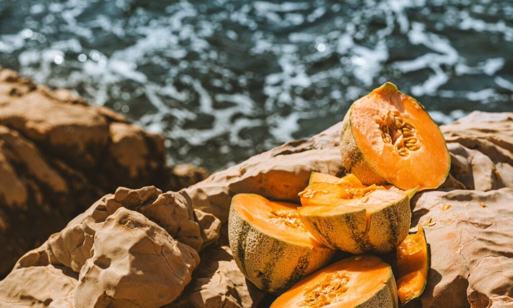 The Final Summer time Delight: Melon with Candy Wine