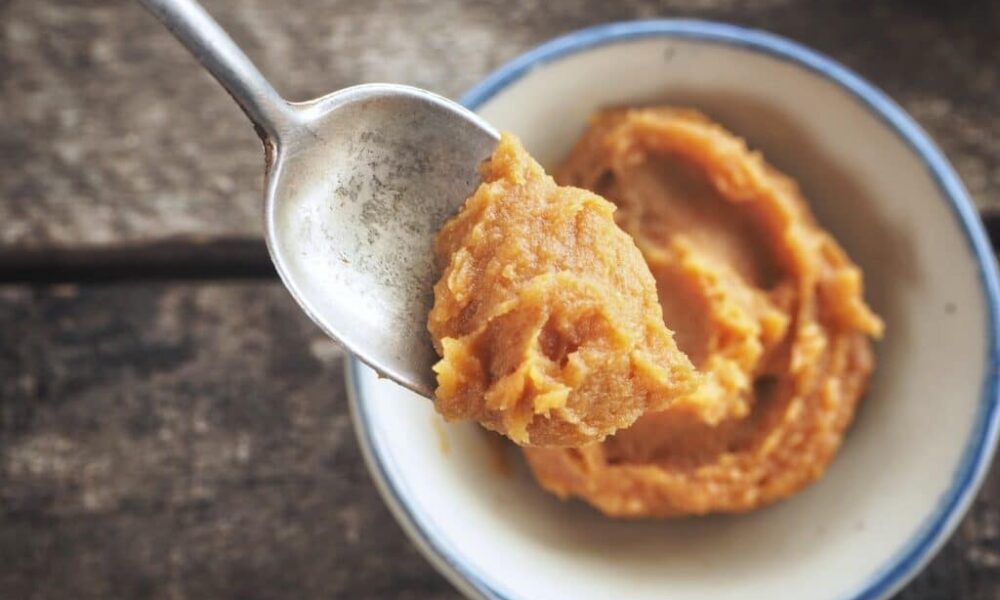 7 of the Finest Meals for Intestine Well being, In line with a Gastroenterologist