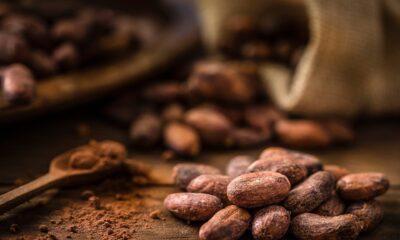 Is cocoa powder good for you? This is the way it compares to espresso.