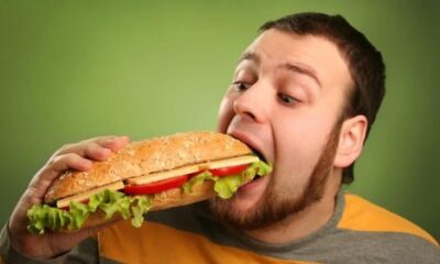 Final Sandwiches | Flipboard