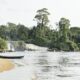 Information to Cameroon – Lonely Planet Information to Cameroon – Lonely Planet