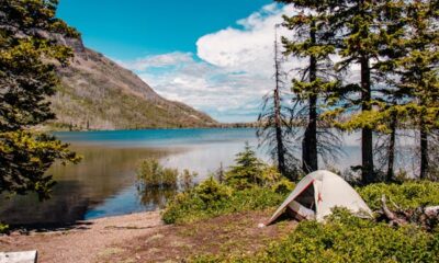 Greatest locations on the planet to seek out silence in 2024