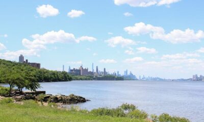 Native Strolls: Manhattan from prime to backside in 35k Steps