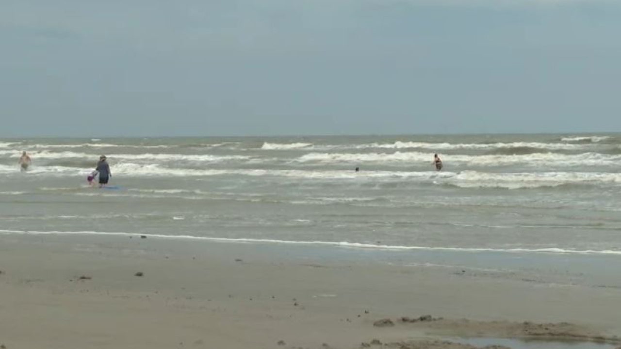 Teen survives shark chew off Texas seashore: ‘I began punching it’ Teen survives shark chew off Texas seashore: ‘I began punching it’