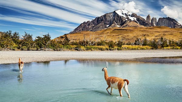 18 of the most effective issues to do in Patagonia 18 of the most effective issues to do in Patagonia