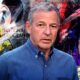 ‘Actually the Experience of a Lifetime’