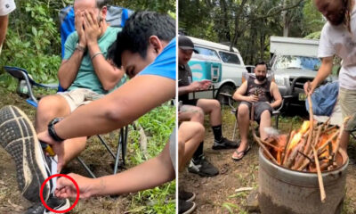 British expat ‘eaten alive’ in horrifying Aussie bush ordeal