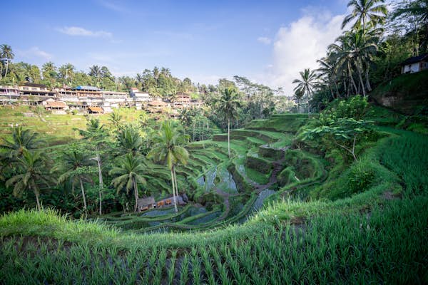 What number of locations can I go to in Bali in per week?