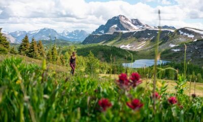 8 of the very best day hikes in Banff Nationwide Park