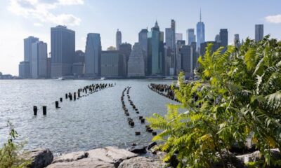 I am a journey author in NYC – these are the questions I get most