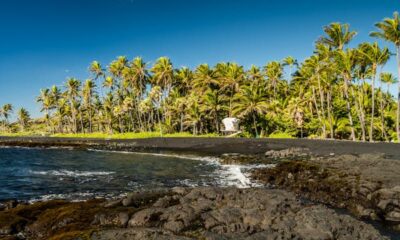 A primary-time information to Hawai’i, the Large Island