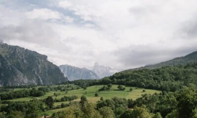 Untamed Spain: A information to its parks and wildlife