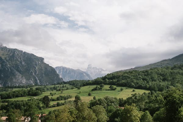 Untamed Spain: A information to its parks and wildlife