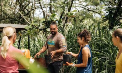 How you can volunteer in Maui