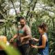 How you can volunteer in Maui