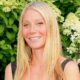Gwyneth Paltrow’s Comfortable LBD Is the Reply to All of My Style Issues Gwyneth Paltrow’s Comfortable LBD Is the Reply to All of My Style Issues