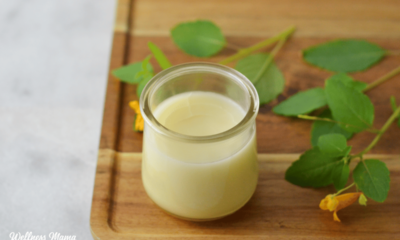 Luxurious DIY Lotion Recipe