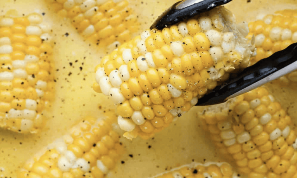 Learn how to Boil Corn on the Cob