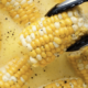Learn how to Boil Corn on the Cob Learn how to Boil Corn on the Cob