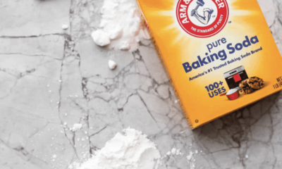 Baking Soda vs Baking Powder (Baking Ideas)