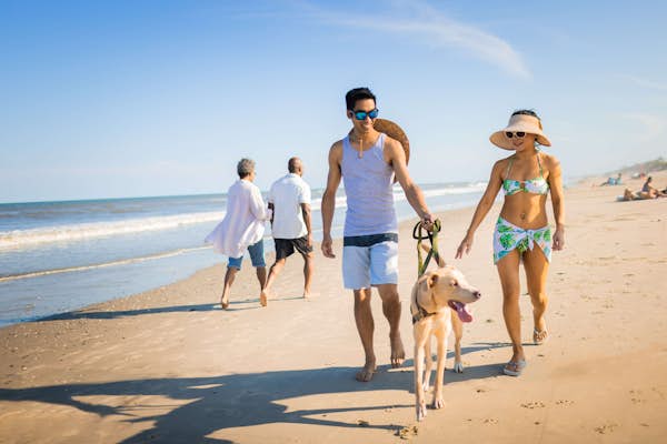 Finest seashores in North Carolina