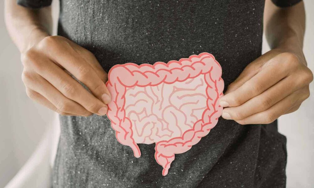 Prime 15 Meals that Help Digestion