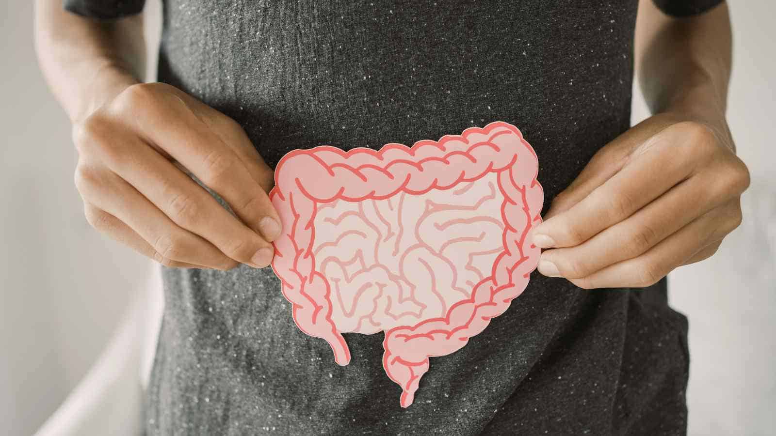 Prime 15 Meals that Help Digestion
