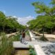 Valencia’s gorgeous parks and outside areas Valencia’s gorgeous parks and outside areas