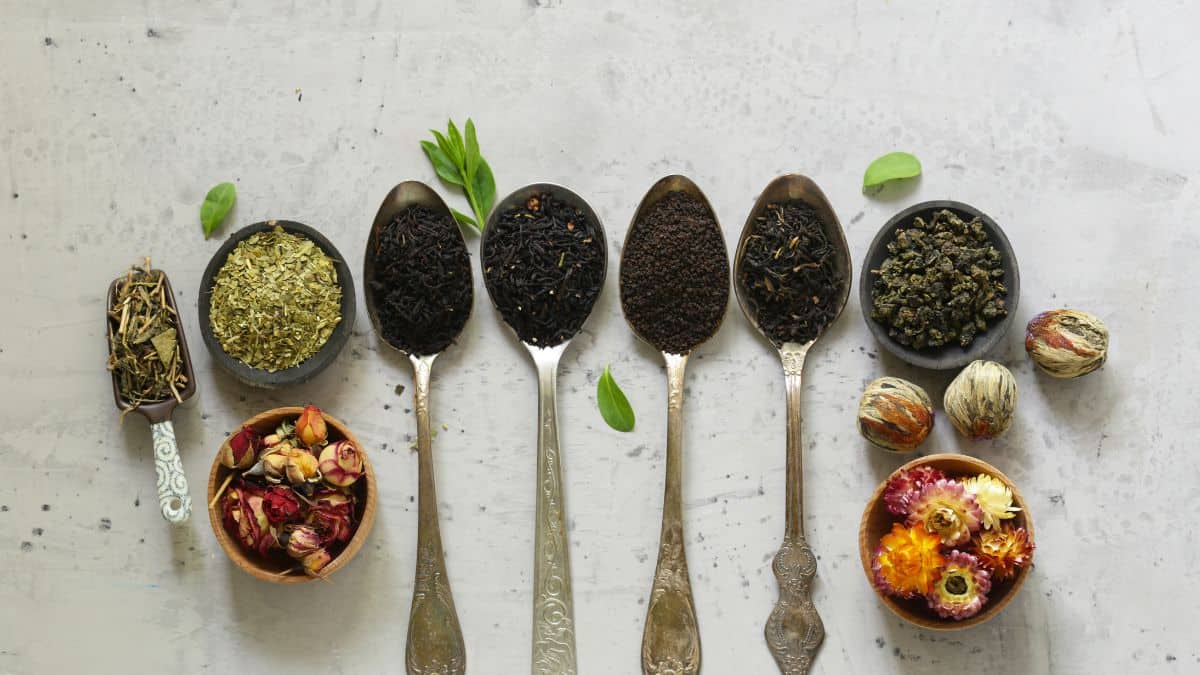 25 Varieties of Tea Each Tea Lover Ought to Know