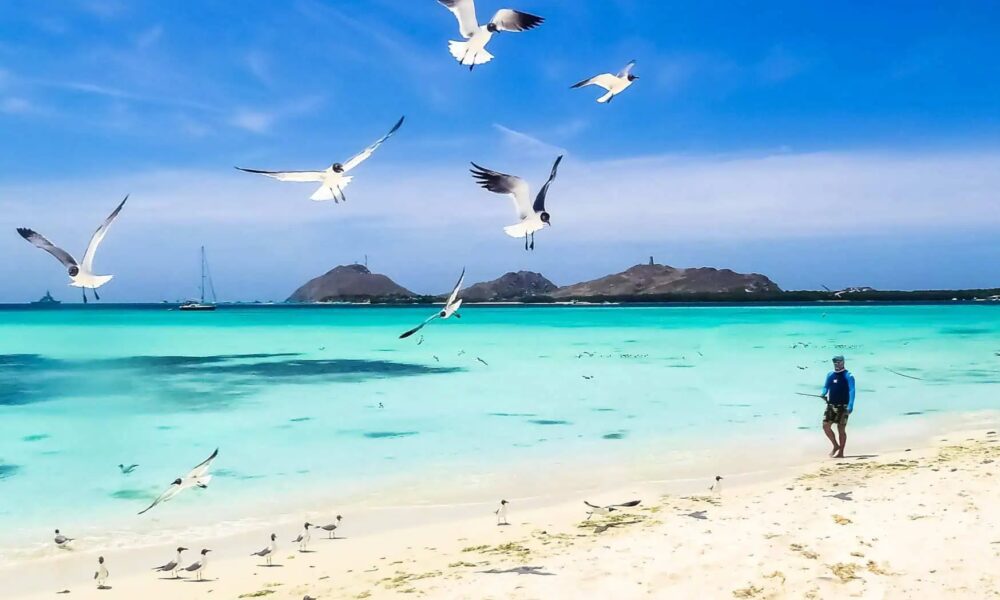 7 Vacationer Traps to Keep away from within the Caribbean And How To Keep away from Them