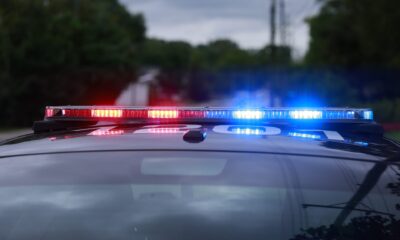 Javion Magee’s Demise Close to Tree Sparks Questions From Household
