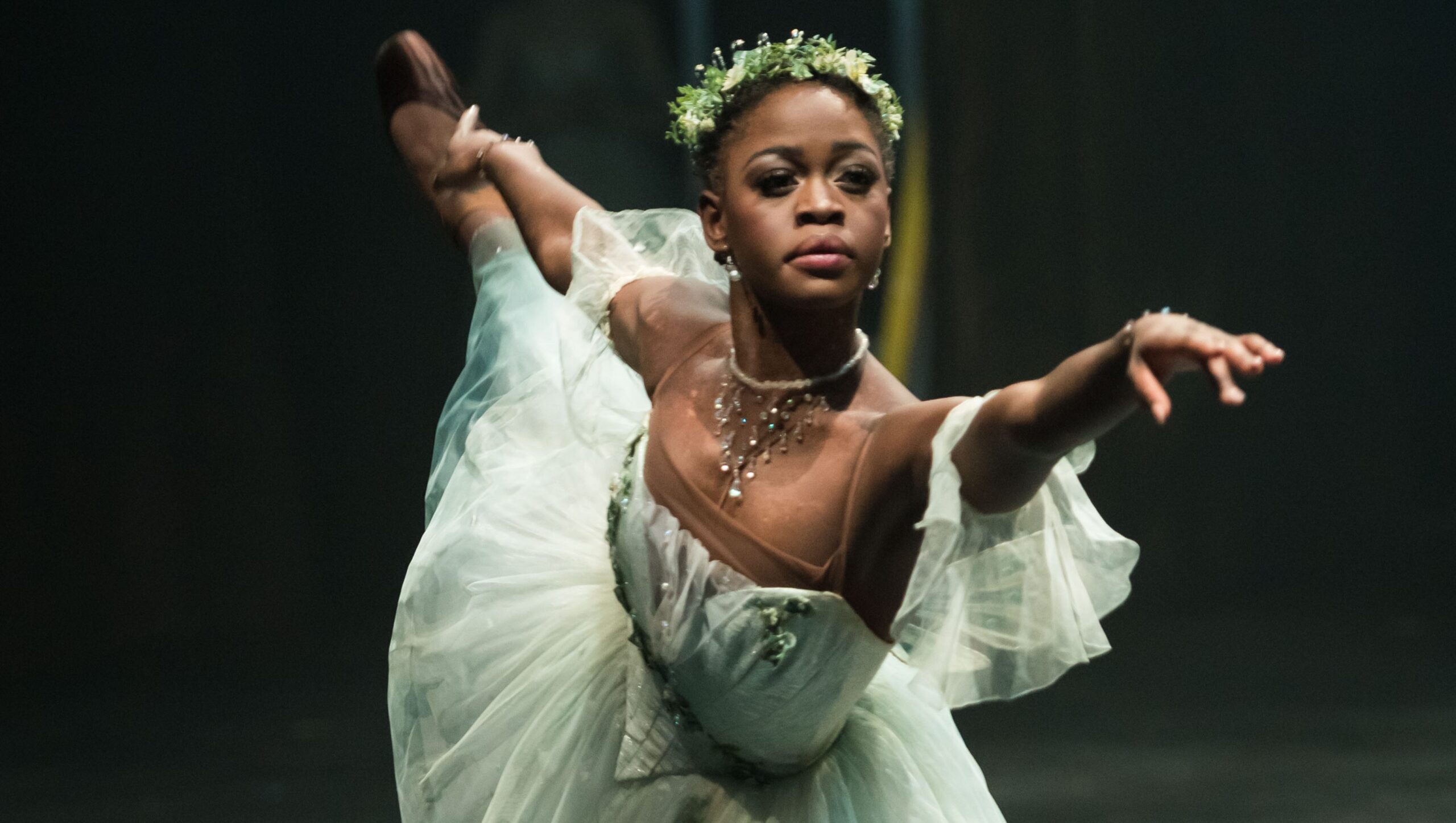 5 Issues to Know In regards to the Ballerina Who Died – Hollywood Life